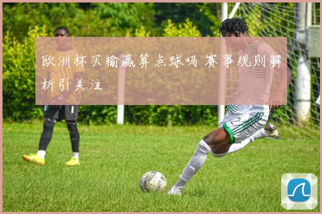 欧洲杯买输赢算点球吗 赛事规则解析引关注