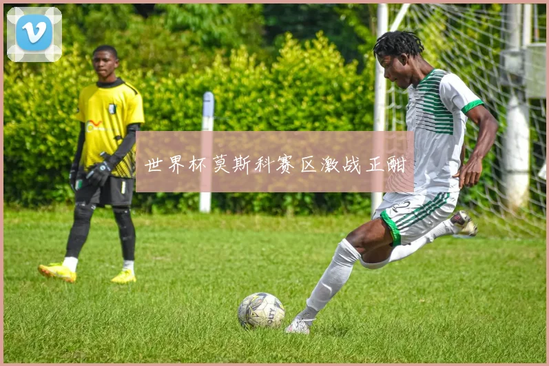 世界杯莫斯科赛区激战正酣