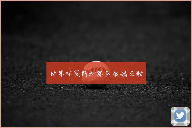 世界杯莫斯科赛区激战正酣