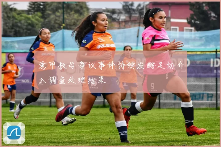 意甲教母争议事件持续发酵足协介入调查处理结果